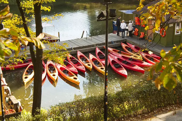 Jak skutecznie zareklamować swoją firmę na Roztoczu? Promocja lokalnych usług.